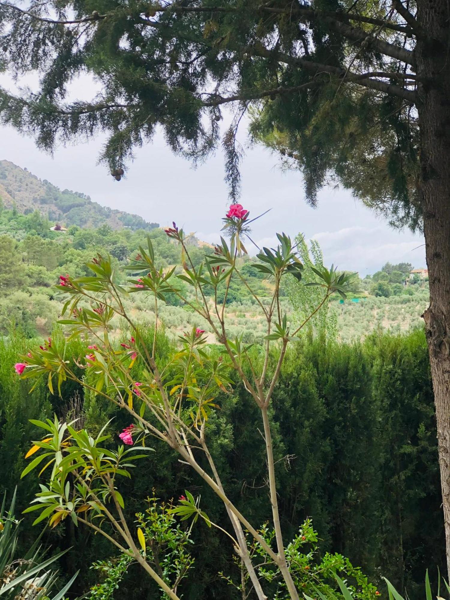 Nueva Cazorla Mirador Cerro Del Escribano Villa La Iruela Dış mekan fotoğraf